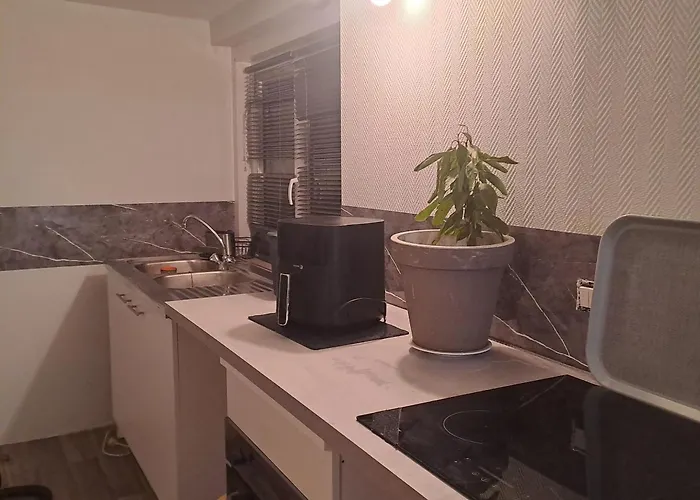 La Petite Simonoise Toulouse